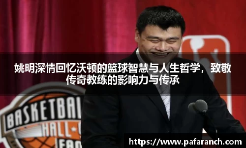 yy易游体育官网