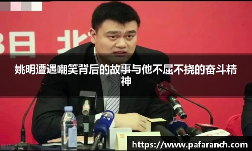 yy易游体育