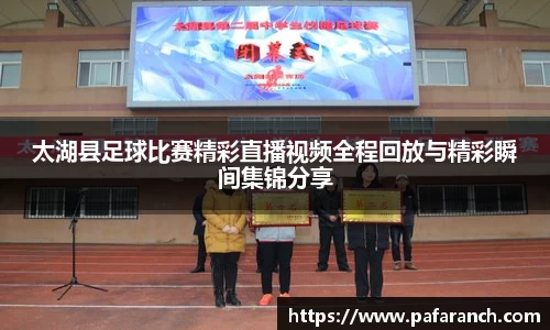 yy易游体育官网
