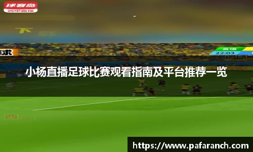 yy易游体育官网